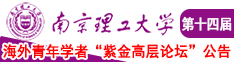 肏欧美老女人南京理工大学第十四届海外青年学者紫金论坛诚邀海内外英才！